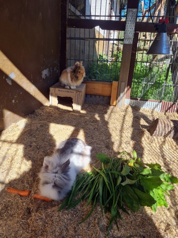 20230908_100548 - Kopie