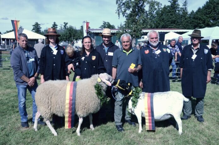 Siegertiere DSC_0513