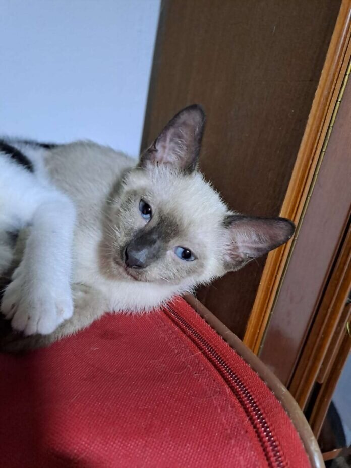 WhatsApp Image 2023-08-26 at 16.11.22 (4)