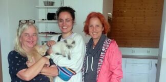 Eine glückliche Vermittlung!