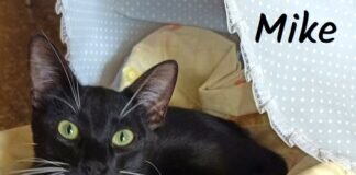 Ein süßes Dreiergespann!