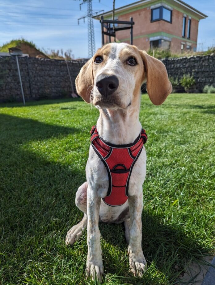 381218749_24460320186888397_9098234827899004042_n