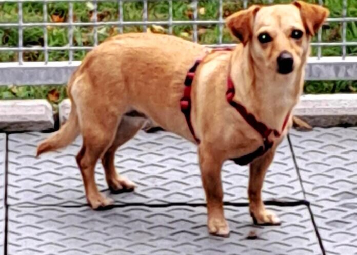 393720500_2765810136918312_6023227776783688386_n_inPixio