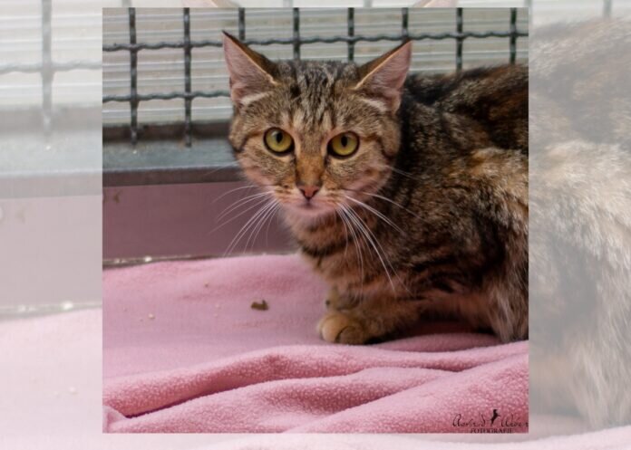 Design ohne Titel (1)_inPixio