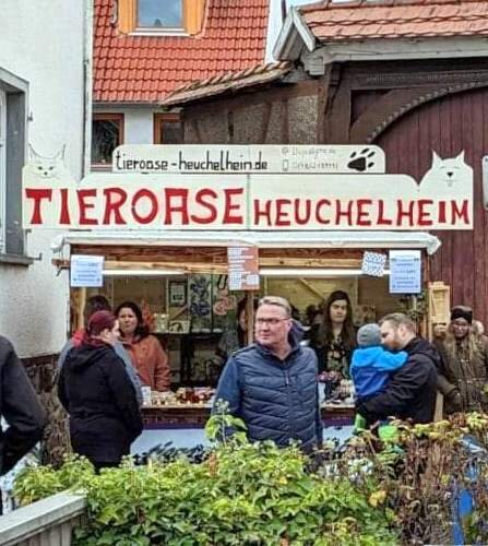 FB_IMG_1698312657207-1