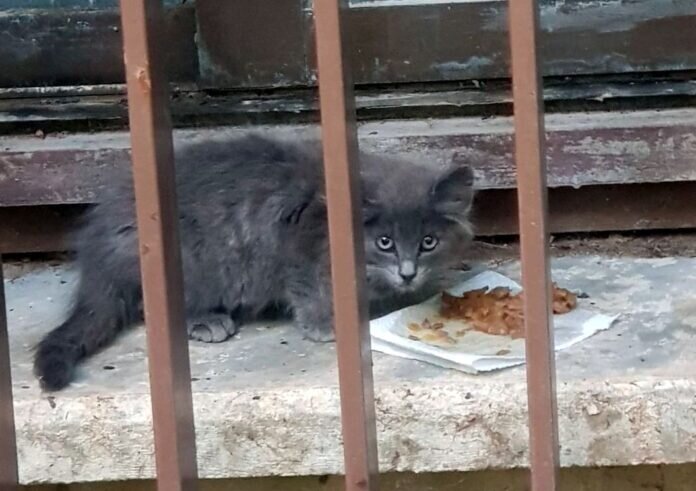 IMG-20230712-WA0033-1