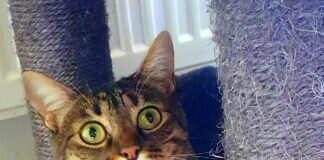 Geschwisterliebe! Sie haben lange warten müssen bis sie ihre Familie gefunden haben! Jetzt sind Masaki und Mila Frankfurter!