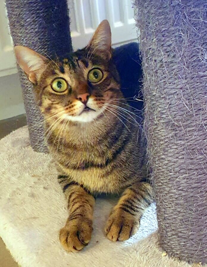 IMG-20230914-WA0009 - Kopie