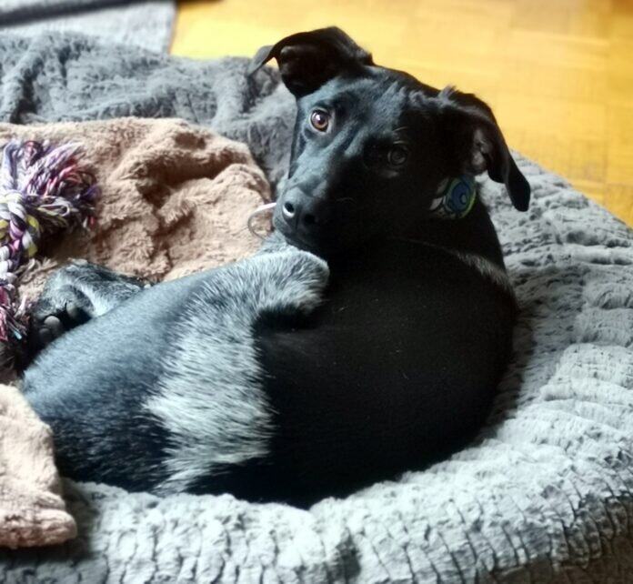 IMG_20231016_105818_edit_379397707649919_resized_20231016_052543101-1