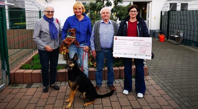 f628fc64-fee9-4926-ac5c-afca491b2257_inPixio