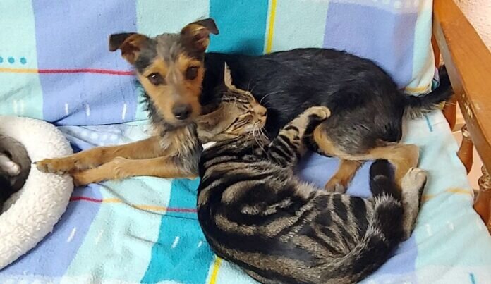 20230919_195240(1)-1