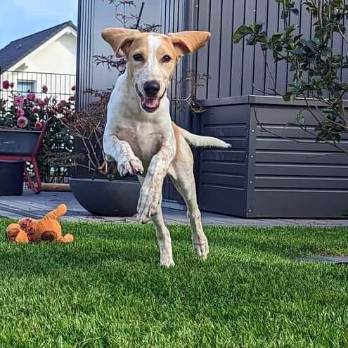 FB_IMG_1701528932998