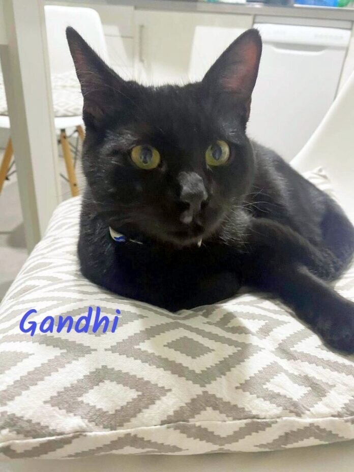 IMG-20230221-WA0015 - Kopie