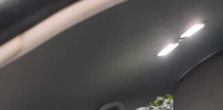 Geschafft der Weihnachtsbaum ist daheim