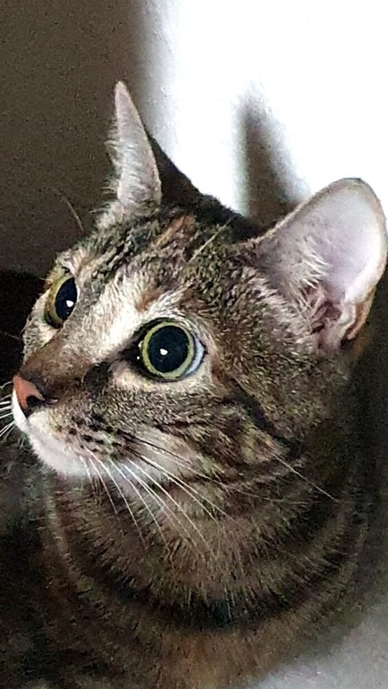 IMG-20231217-WA0034 - Kopie