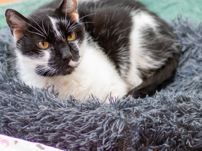 Design ohne Titel (1)