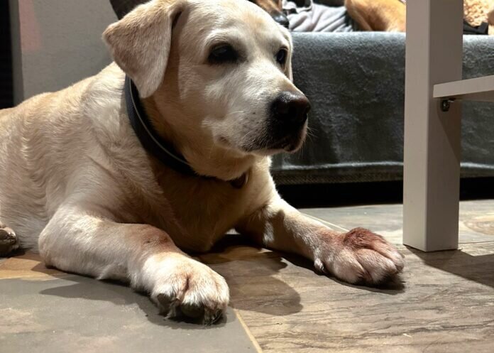 WhatsApp-Bild-2023-12-05-um-19.50.54_3c0c7533_inPixio