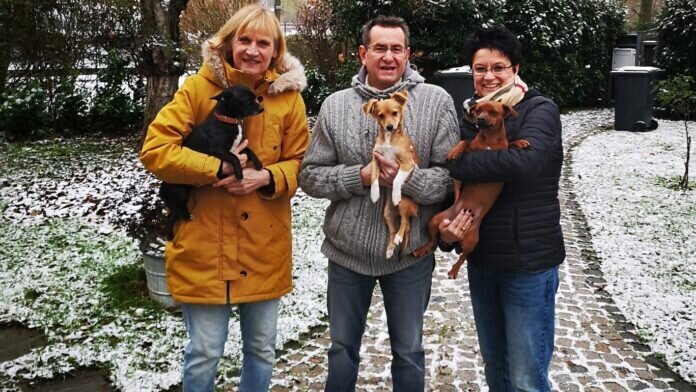 b3a7c013-36a9-47dc-92fe-8d96d4f60176