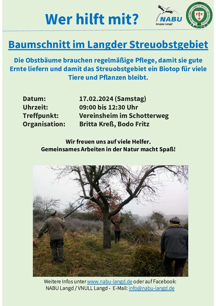 Obstbaumschnitt junger Obstbäume in der “Silbach”