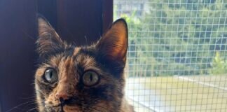 Die Einzelprinzessin!