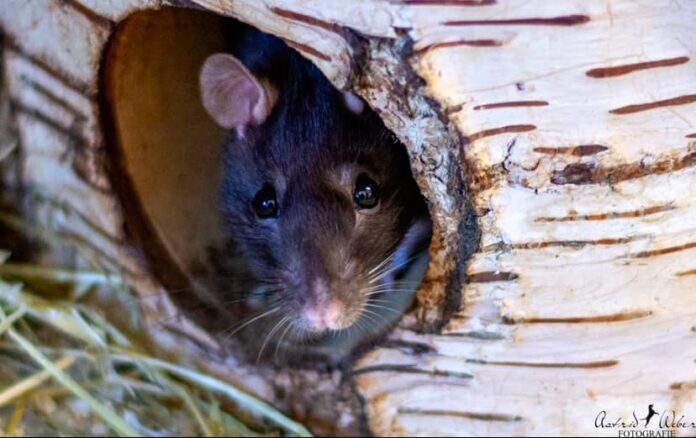 425004581_792165012956264_8925583602811347103_n_inPixio