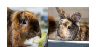 Wieder fit und aktiv – PETER & PANE