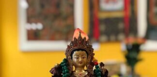 Ausblick in besondere Aktivitäten