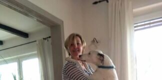 Alba muss ein neues Zuhause finden! Vermittelt!