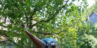 Der Eisvogel landet in Lich