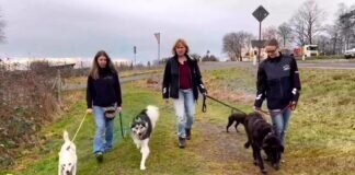 Lebensfreude auf drei Beinen (mit Video)