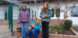 Mädchen aus Trohe sammeln Spenden für örtliches Tierheim