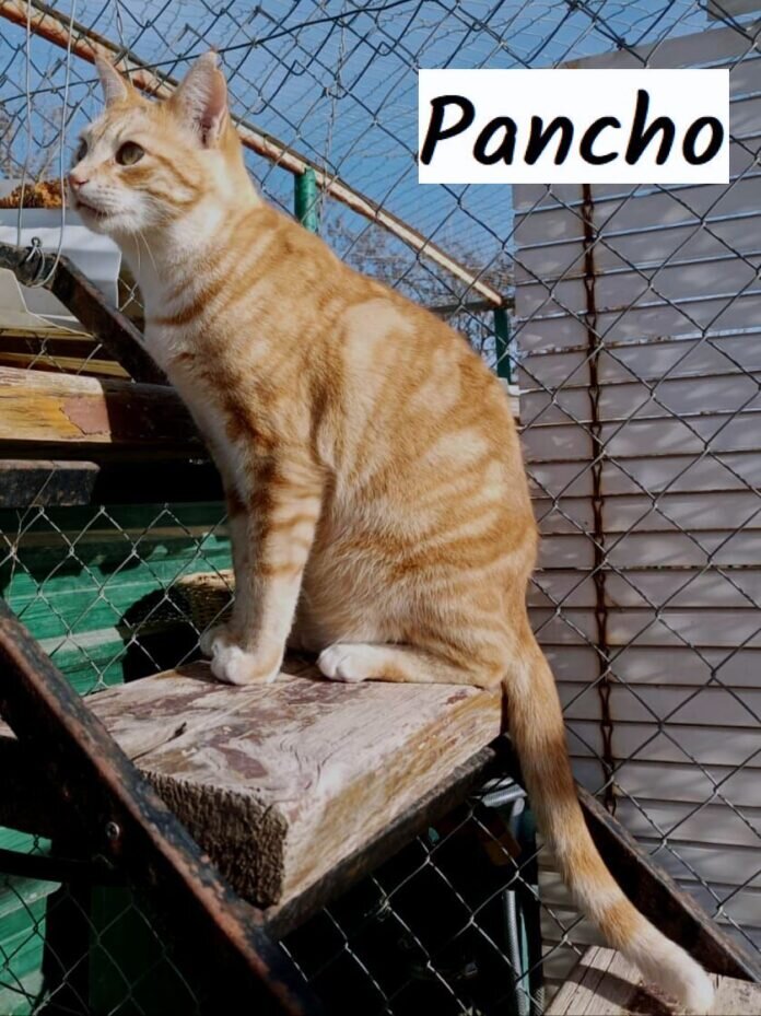 WhatsApp Image 2024-01-11 at 22.37.06 - Kopie