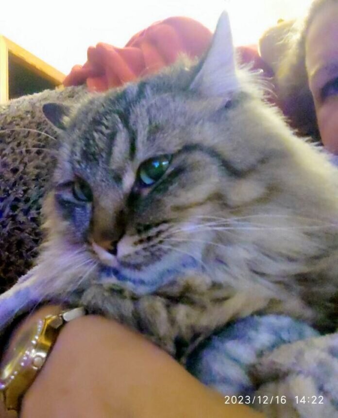 WhatsApp Image 2024-01-22 at 19.50.57 (2)