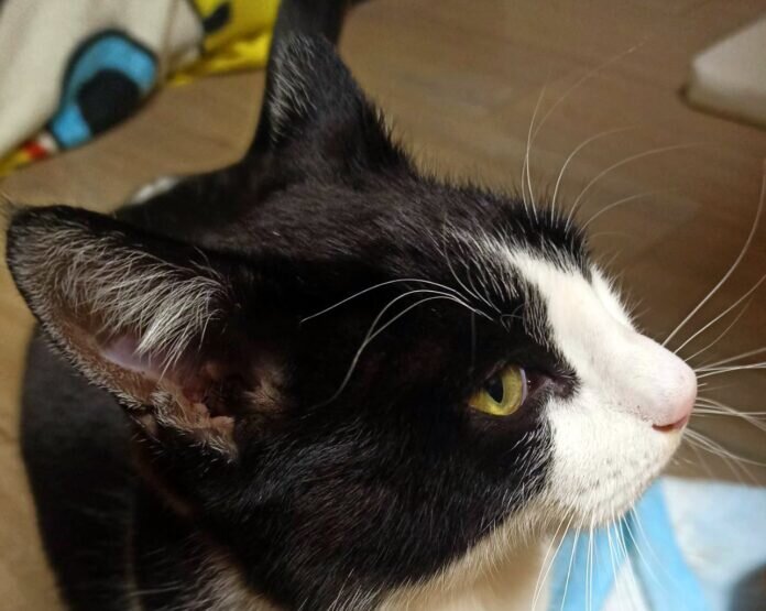 WhatsApp Image 2024-02-13 at 05.53.57 - Kopie (2)