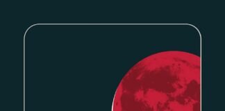 Krimi: Blutmond – Katrine Engberg