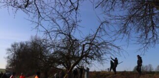 Baumschnittlehrgang beim Obstbau- und Kelterverein Lardenbach/Kl.-Eichen