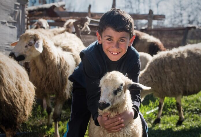 Tierprojekt in Armenien