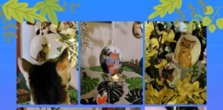 Frohe Ostern für alle Leser wünscht Katzenreich e.V.