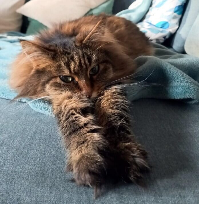 IMG-20240306-WA0010 - Kopie