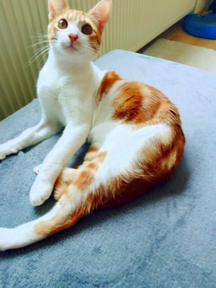 IMG-20240308-WA0025_edit_6091672243340