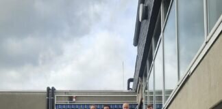 DLRG OG Laubach ermittelt Vereinsmeister/innen – erfreuliche Beteiligung