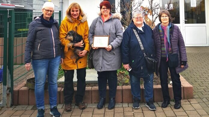 IMG_20240307_180541_resized_20240307_060616883_inPixio