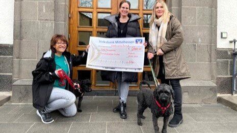 Zeitung-Grundschule-Spendung 3