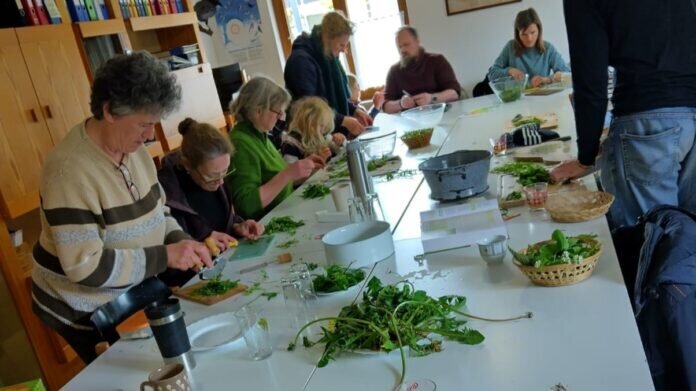 2024-04-21-Bei der Arbeit