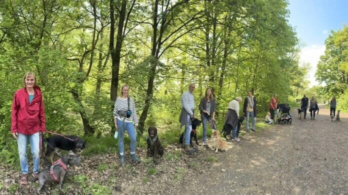 440436453_842397121266386_7894296884024962757_n_inPixio