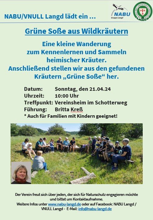 GRÜNE SOSSE AUS WILDKRÄUTERN