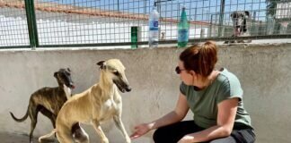 Besuch in unserem Patentierheim Arca de Noé!