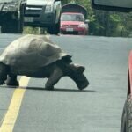 Südamerika – Kontinent der Vielfalt