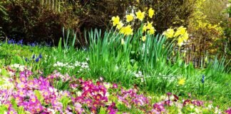 “Frühlingsgefühle”