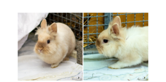 Ruhig und zurückhaltend – BOMAZI –